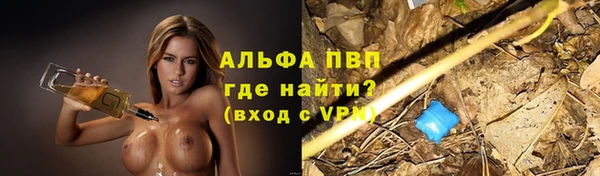 спиды Корсаков