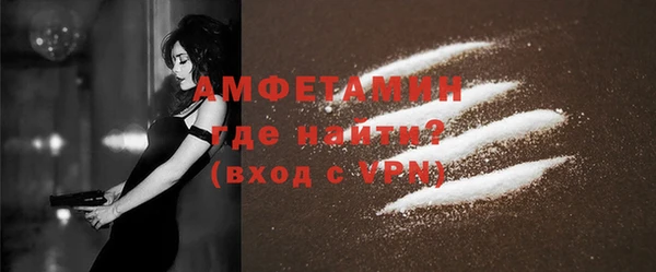 трава Коряжма