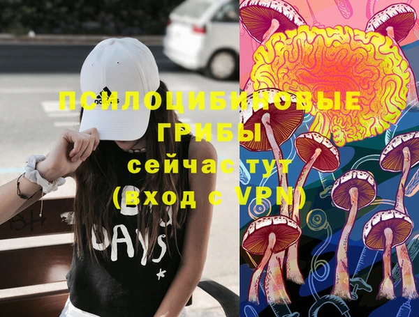 спиды Корсаков