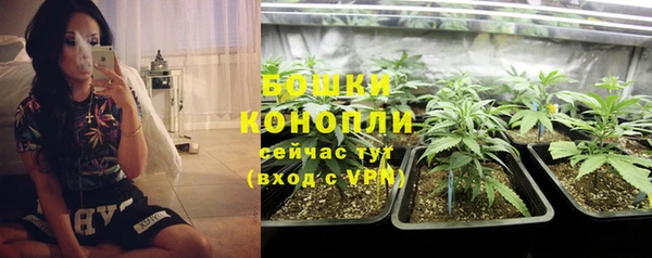 спиды Корсаков