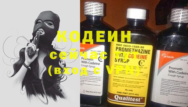 трава Коряжма