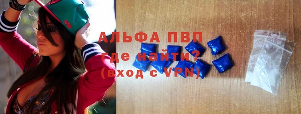 трава Коряжма