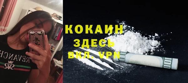 трава Коряжма
