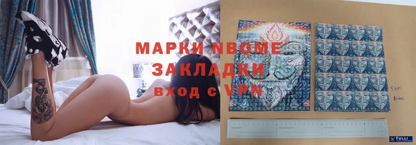трава Коряжма